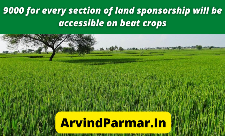 9000 for every section of land sponsorship will be accessible on beat crops